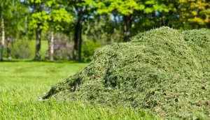 Upozornenie na nezodpovedné odhadzovanie pokosenej trávy 1